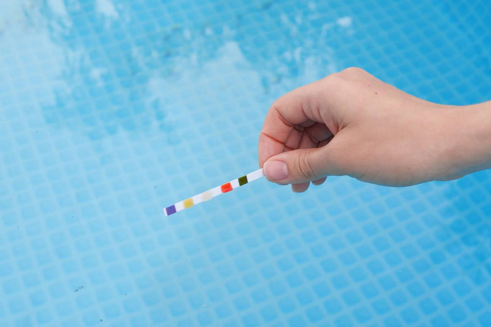 Person holding water testing strip over swimming pool